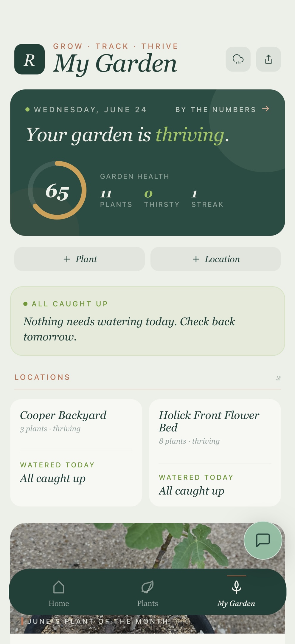 Rooted My Garden dashboard