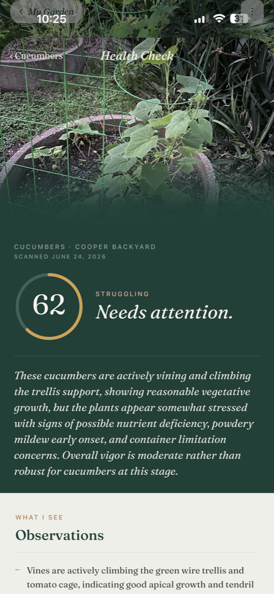 Rooted health scan result